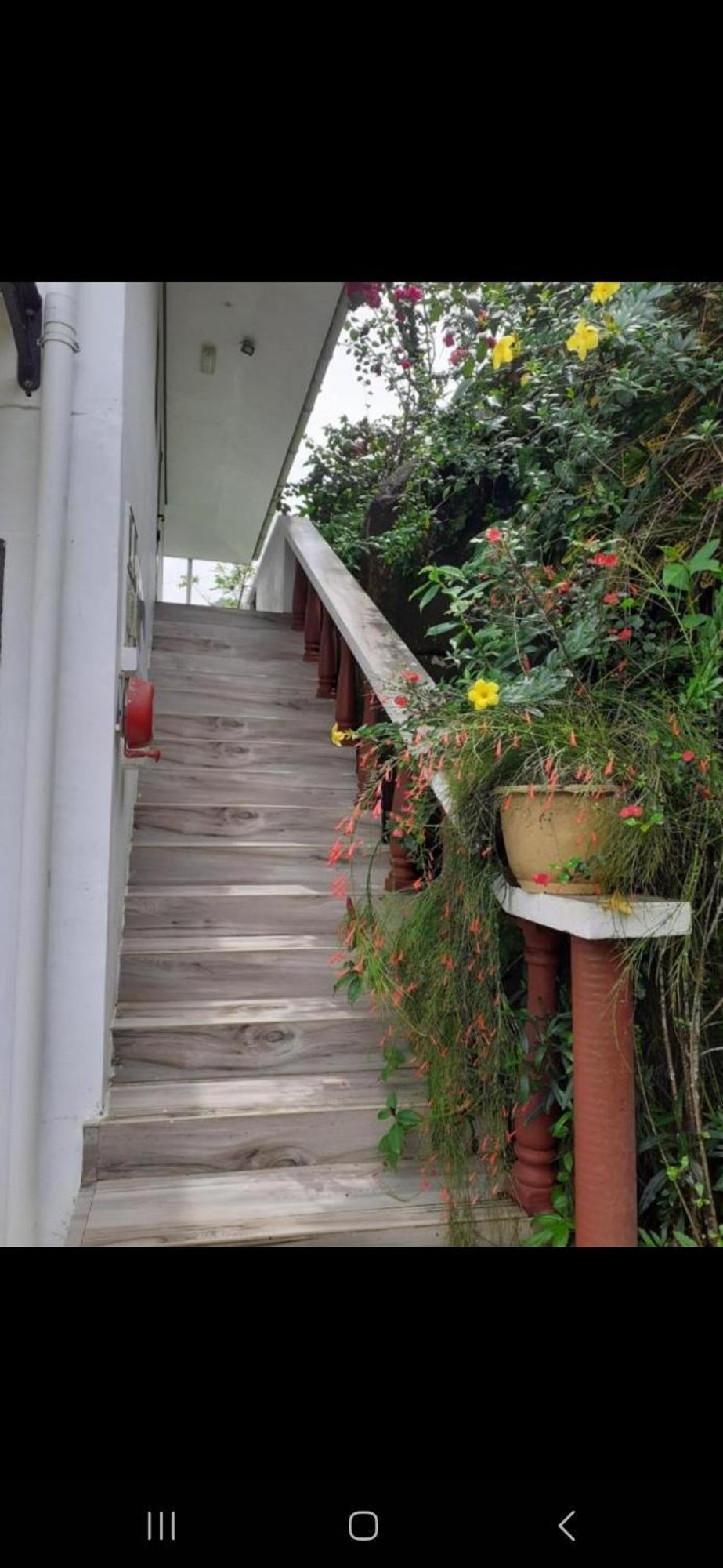 Gigi'S Self Catering Apartment Port Glaud Exterior foto